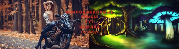 прущие крисы Белоозёрский