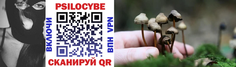 Галлюциногенные грибы GOLDEN TEACHER  Купить закладки  Семилуки 